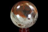 Colorful Petrified Wood Sphere - Madagascar #92986-1